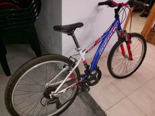 Bicicleta de montaña Oregon