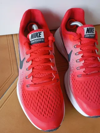 Nike Air Zoom Pegasus