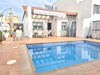 Precioso Pareado en una planta