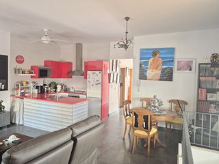 Precioso Pareado en una planta