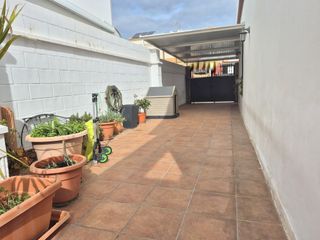 Precioso Pareado en una planta