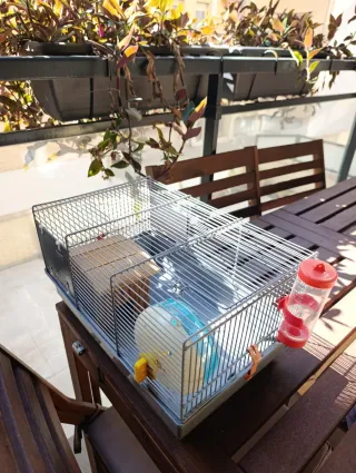 JAULA PARA HAMSTER CON ACCESORIOS