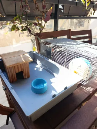 JAULA PARA HAMSTER CON ACCESORIOS