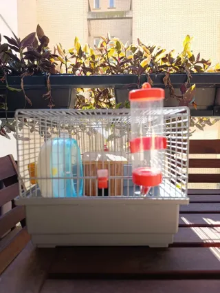 JAULA PARA HAMSTER CON ACCESORIOS