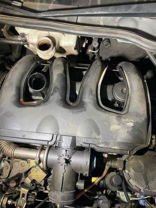 Colector Admisión Peugeot Citroen 1.9D