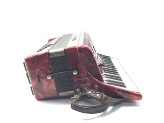 Acordeón rojo con funda