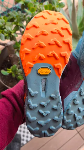 Zapatillas Dynafit Alpine Pro 2, 42,5