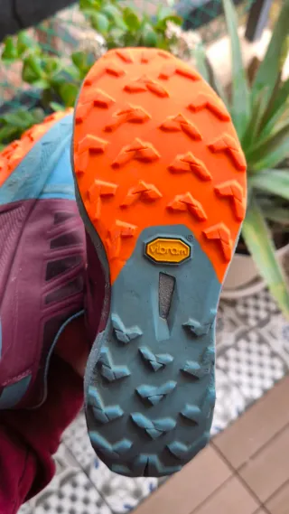 Zapatillas Dynafit Alpine Pro 2, 42,5