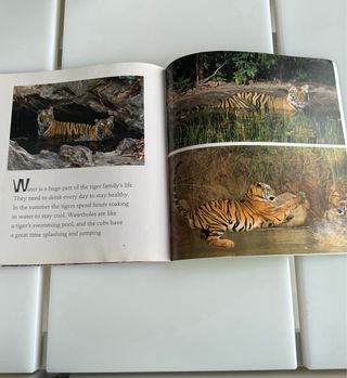 Tiger libro animales fotografía