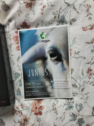 El abuelo que saltó por la ventana y se largó (...