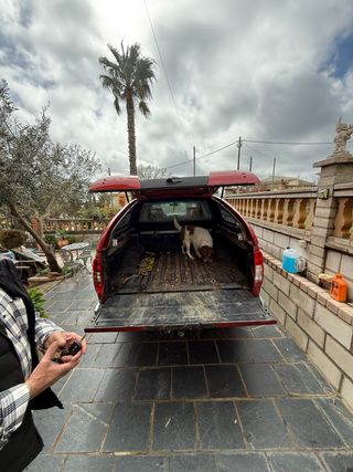 Nissan Navara 2008 2.5D 171 Cv etiqueta B 213Km