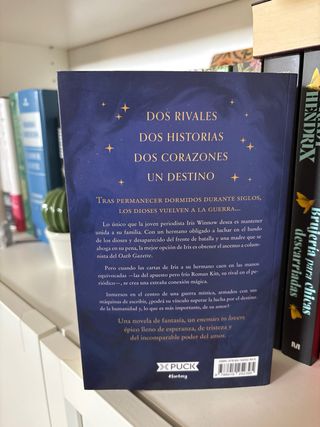 Rivales divinos (Spanish Edition)