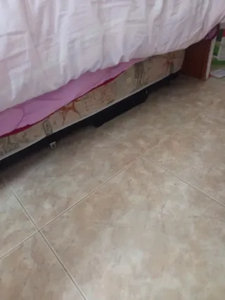 Cama nido y armario completo