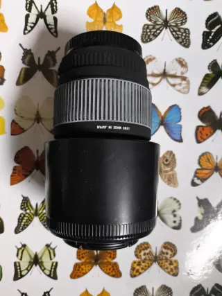 Sigma70-300mmf/4-5.6DGMacro