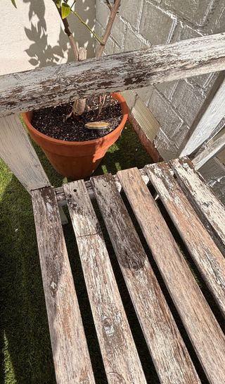 Conjunto banco madera y mesa palet jardín