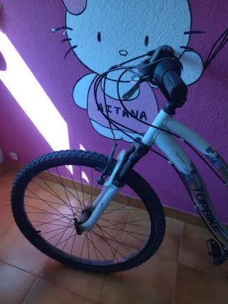 Bicicleta de Montaña TOPBIKE