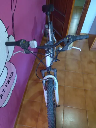 Bicicleta de Montaña TOPBIKE