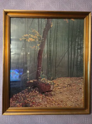 Cuadro Decorativo Bosque Bambú