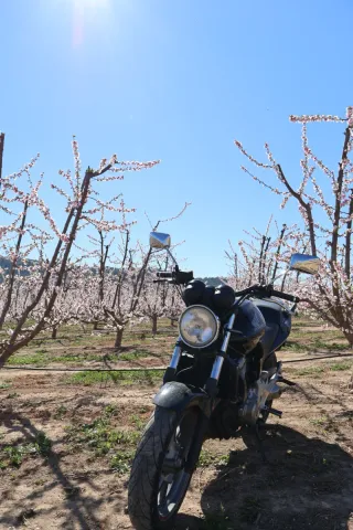 Honda CBF500 Naked Negra
