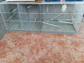 Jaula de cría para pájaros 1.20 m