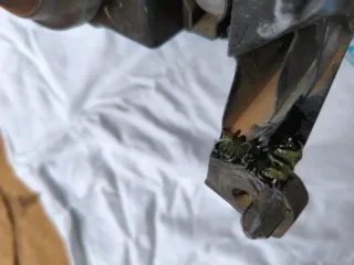 Faro Delantero Derecho Citroën C2