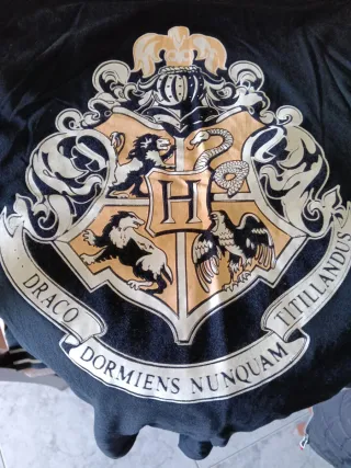 Camiseta Harry Potter Negra y Blanca