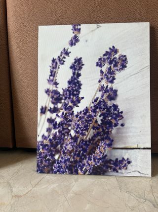 Cuadros decorativos hojas y lavanda