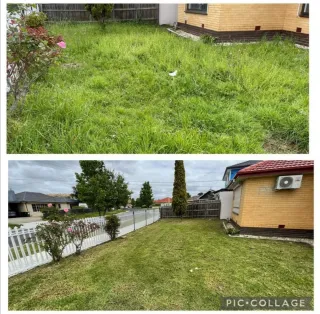 Jardinero económico