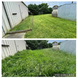 Jardinero económico