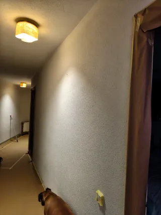 pintor profesional, pisos