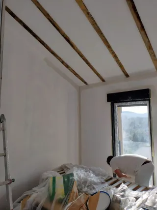 pintor profesional, pisos