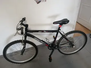 Bicicleta INDUR Negra