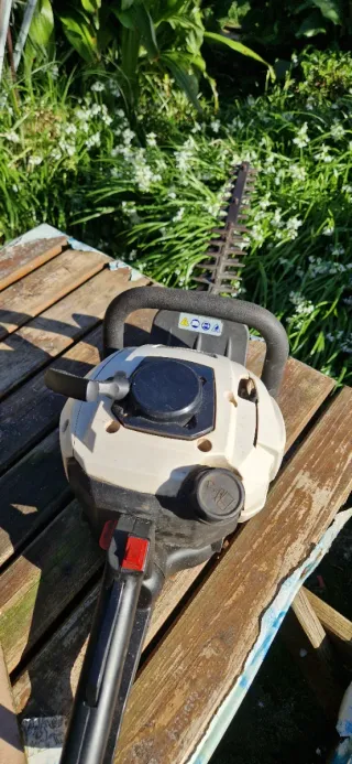 Cortasetos Alpina H 60