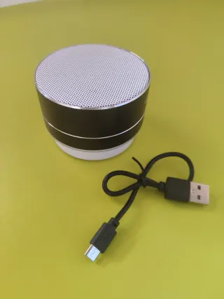 Altavoz Bluetooth Portátil Negro y Plateado