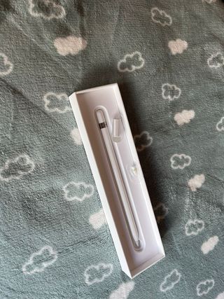Apple Pencil 1ª Generación
