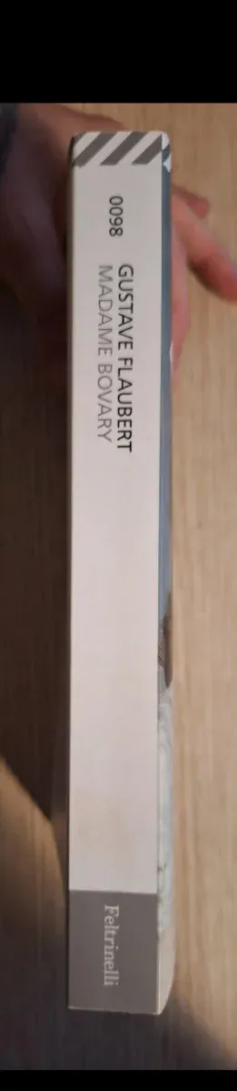 Madame Bovary - Gustave Flaubert