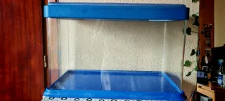 Pecera 40L con tapa azul