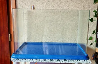 Pecera 40L con tapa azul