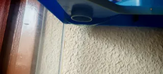 Pecera 40L con tapa azul