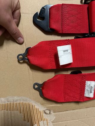 Arneses coche de rally