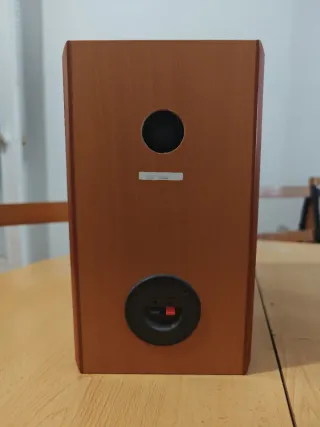 Pareja Altavoces Schneider Marrón/Gris