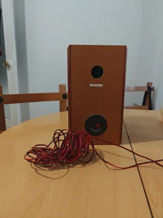 Pareja Altavoces Schneider Marrón/Gris