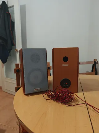 Pareja Altavoces Schneider Marrón/Gris