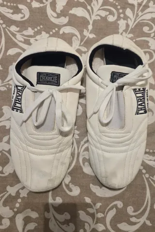 lote Kimono,zapatillas y guantes