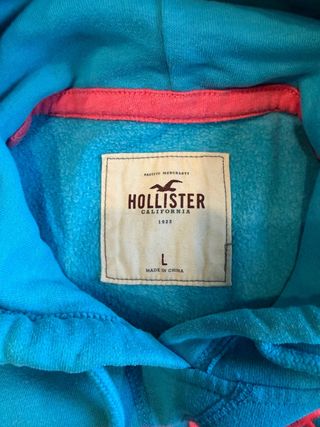 Sudadera Hollister Azul con Capucha unisex