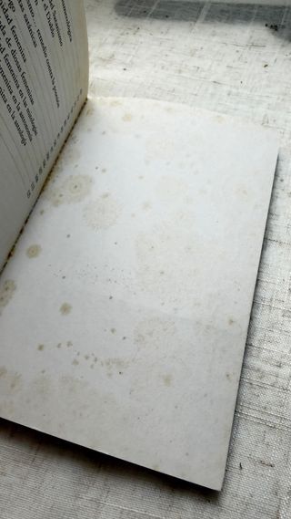 Las caras ocultas de Dios