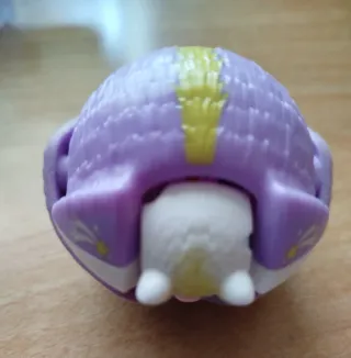 Riccio con guscio e casetta