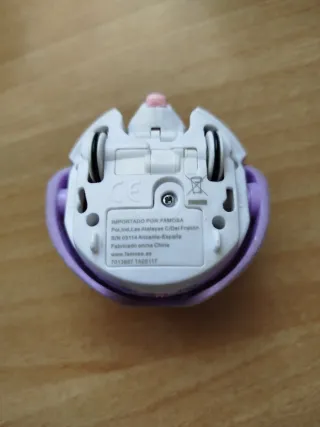 Riccio con guscio e casetta