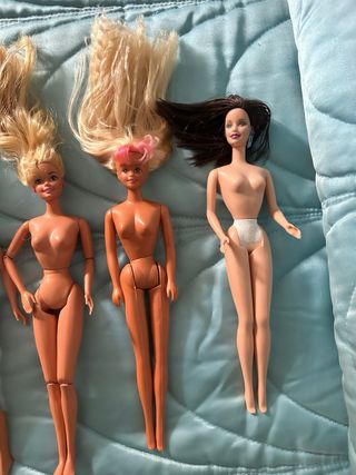 Lote de Barbies
