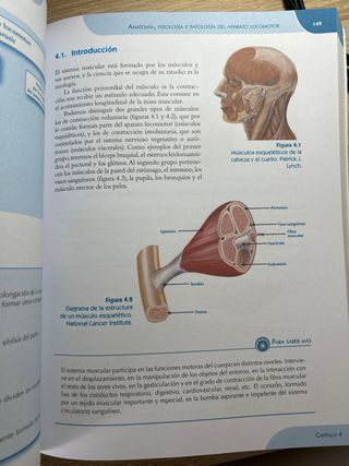 Anatomía por la imagen